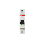 S201-C10 1p 10A