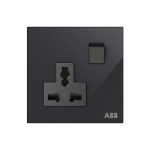 AM29486-xx