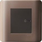 Schneider Zencelo - 10A 1 gang bell switch silver bronze E8431BP1-SZ