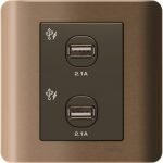 SCHNEIDER E8432USB_SZ-ZENcelo 2x2.1A USB Charger Silver Bronze